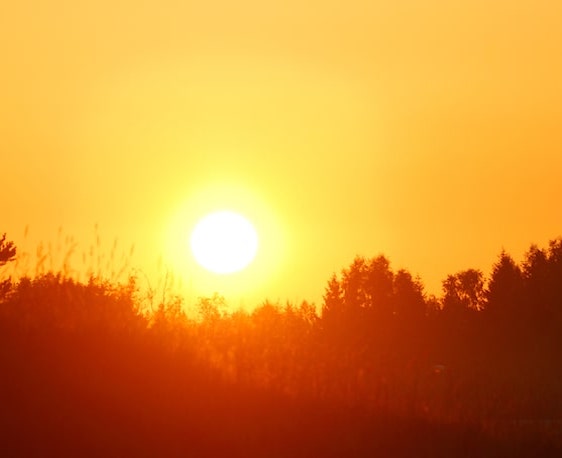 Morgenprogramm Morgenprogramm