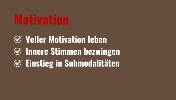 Motivation Motivation