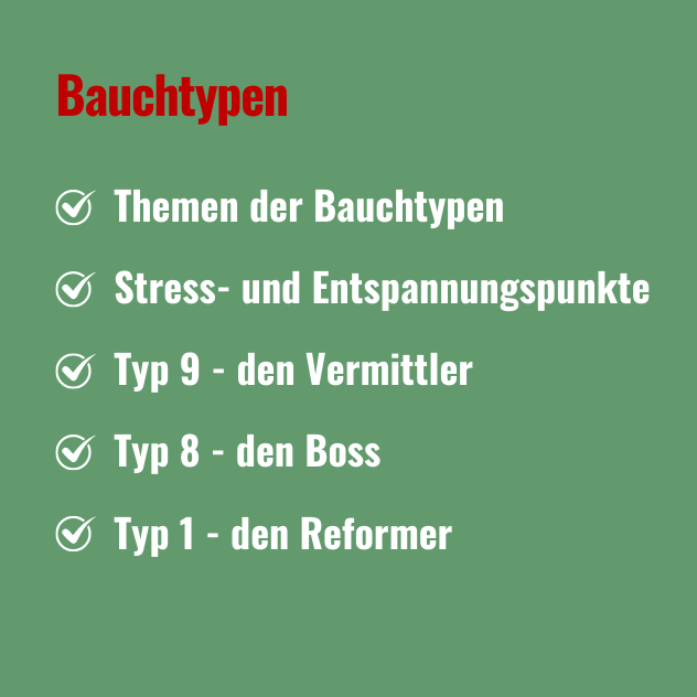 Bauchtypen