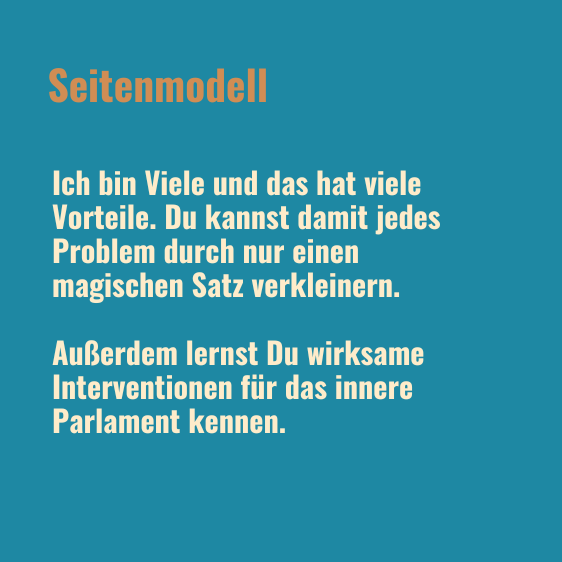 Tagesseminar Hypnosystemisch Seitenmodell Bild