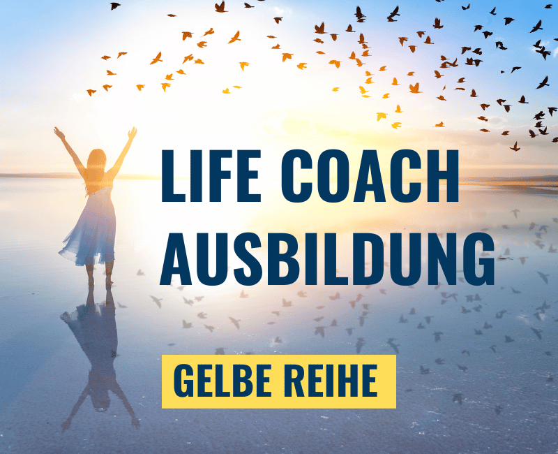 Systemischer Life Coach