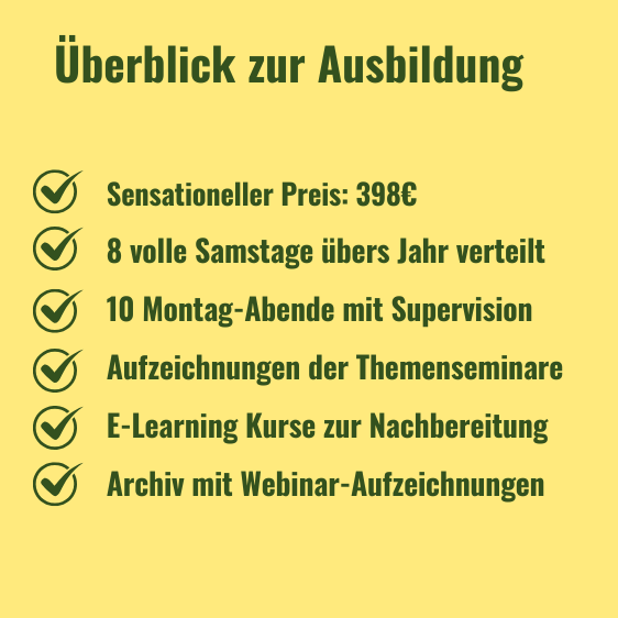 Überblick zur Life Coach Ausbildung Text