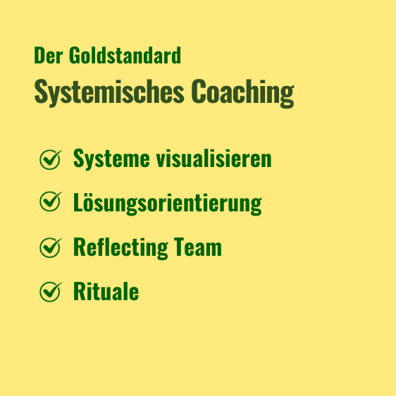 Systemisches Coaching Text