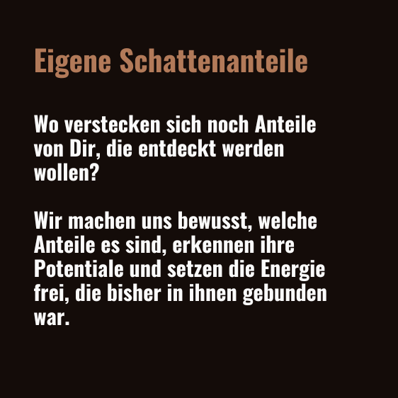 Tagesseminar Schatten Eigene Text