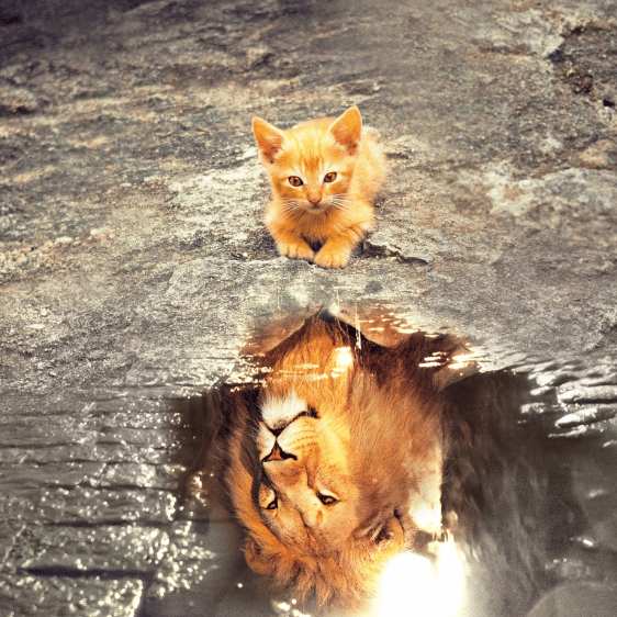 Tagesseminar Schatten Methode Bild