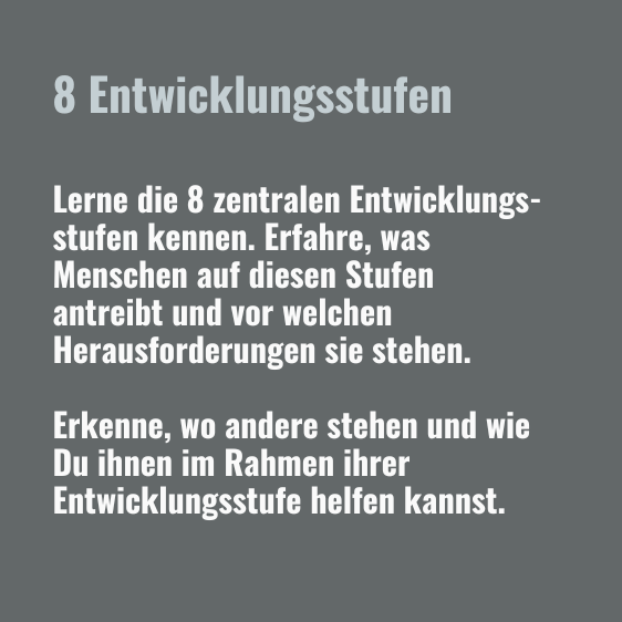 Tagesseminar Spiral Dynamics Entwicklungsstufen Text