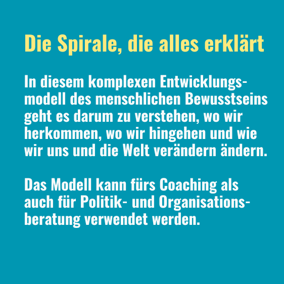 Tagesseminar Spiral Dynamics Spirale Text