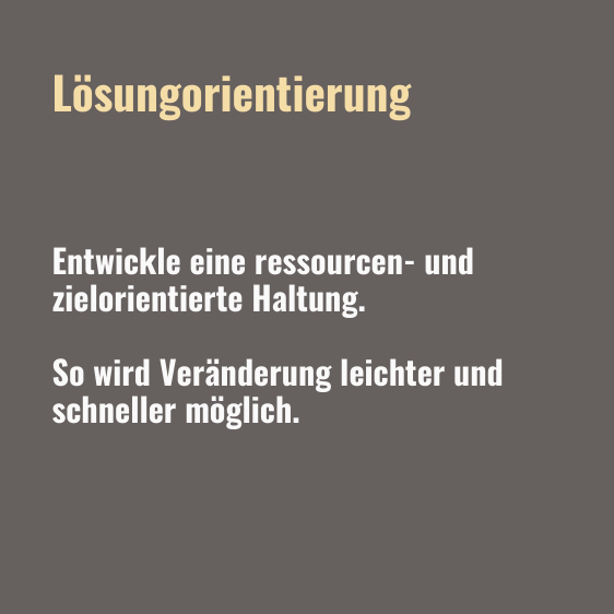 Tagesseminar Systemisch Lösungsorientierung Text
