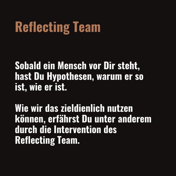 Tagesseminar Systemisch Reflecting Team Text
