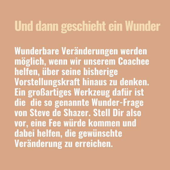 Systemische Fragetechniken Text