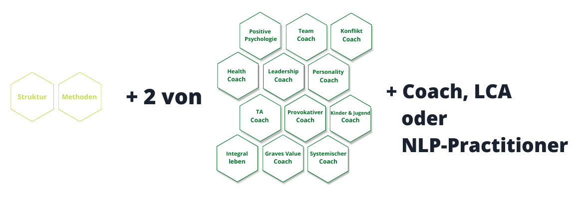 ICI-Coach-Abschluss Variante B