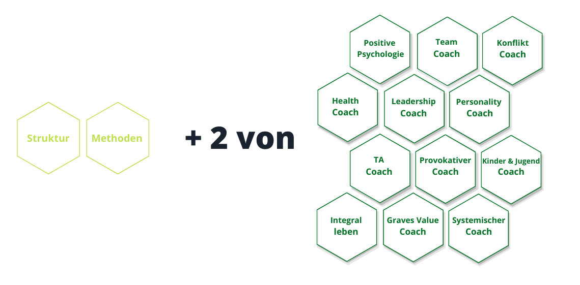 Coaching-Ausbildung, LNLPT