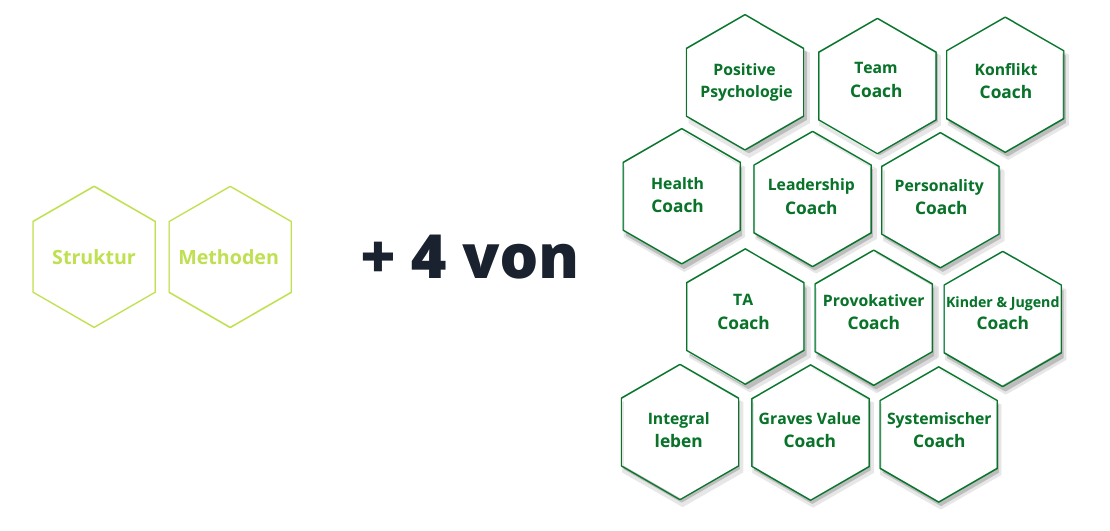 Abschluss ICI Coach-Ausbildung, Variante A