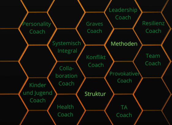 Profi-Coach-Module Bild