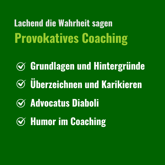 Provokatives Coaching Modul Text